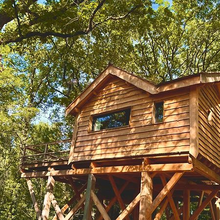 Dolce Et Cabane Berat Esterno foto